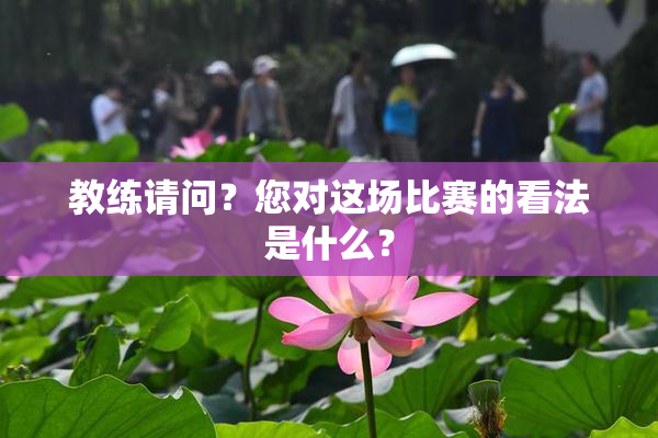 教练请问？您对这场比赛的看法是什么？