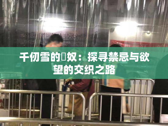 千仞雪的婬奴：探寻禁忌与欲望的交织之路