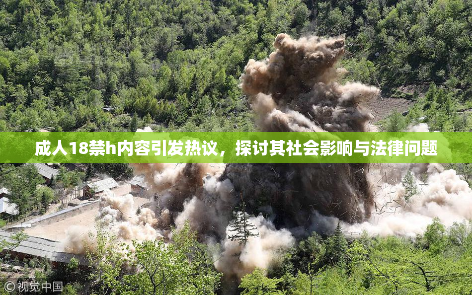 成人18禁h内容引发热议，探讨其社会影响与法律问题