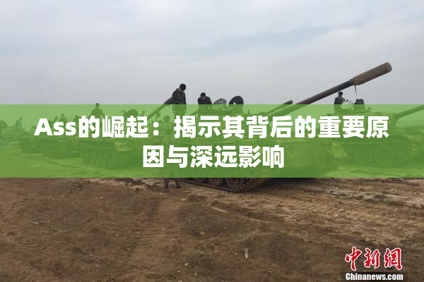 Ass的崛起：揭示其背后的重要原因与深远影响