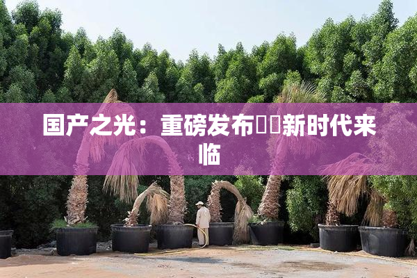 国产之光：重磅发布❌‌新时代来临