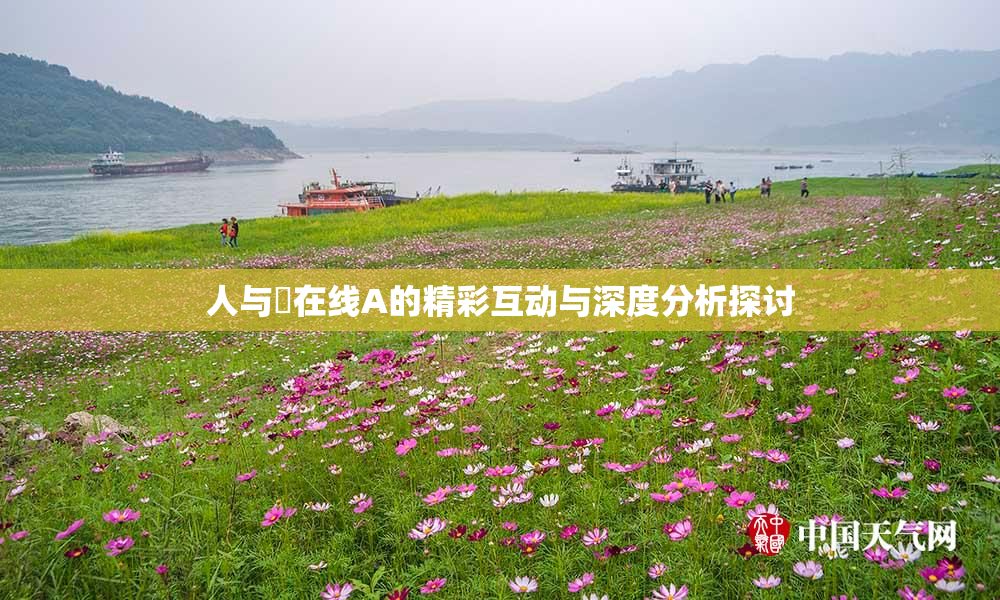 人与嘼在线A的精彩互动与深度分析探讨
