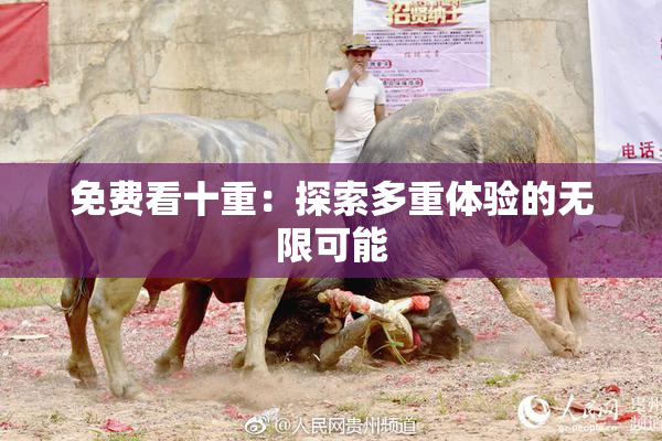 免费看十重：探索多重体验的无限可能