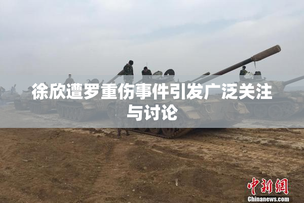 徐欣遭罗重伤事件引发广泛关注与讨论