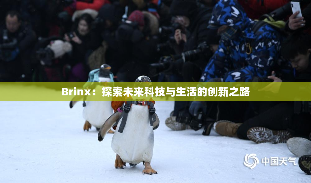 Brinx：探索未来科技与生活的创新之路