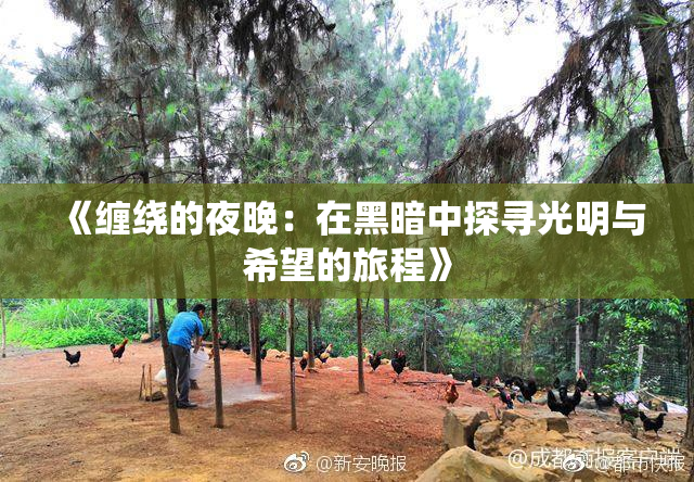 《缠绕的夜晚：在黑暗中探寻光明与希望的旅程》