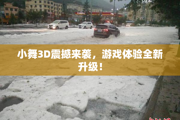 小舞3D震撼来袭，游戏体验全新升级！