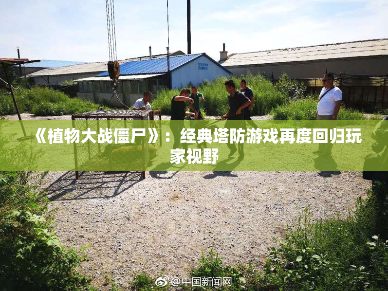 《植物大战僵尸》：经典塔防游戏再度回归玩家视野