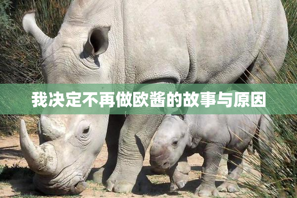 我决定不再做欧酱的故事与原因