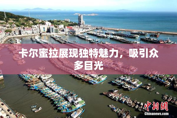 卡尔蜜拉展现独特魅力，吸引众多目光