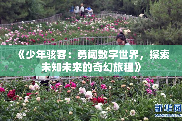 《少年骇客：勇闯数字世界，探索未知未来的奇幻旅程》