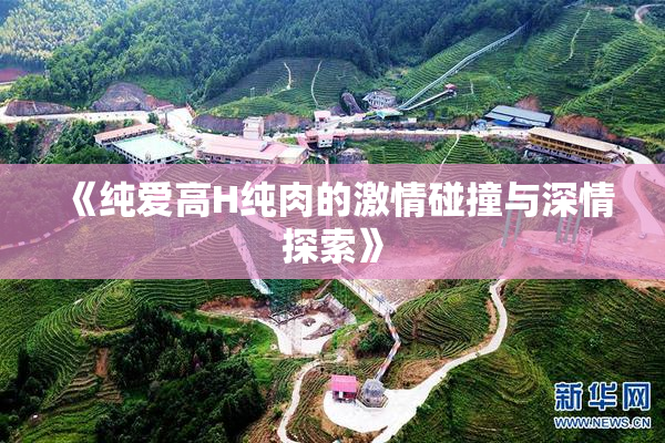 《纯爱高H纯肉的激情碰撞与深情探索》