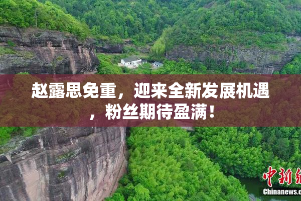 赵露思免重，迎来全新发展机遇，粉丝期待盈满！