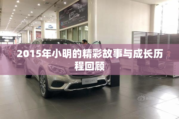 2015年小明的精彩故事与成长历程回顾