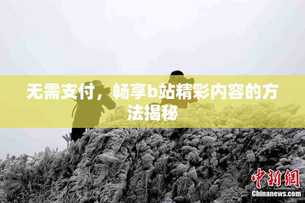 无需支付，畅享b站精彩内容的方法揭秘