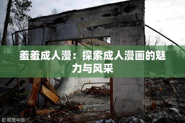 羞羞成人漫：探索成人漫画的魅力与风采