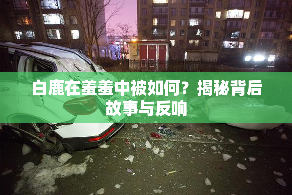 白鹿在羞羞中被如何？揭秘背后故事与反响