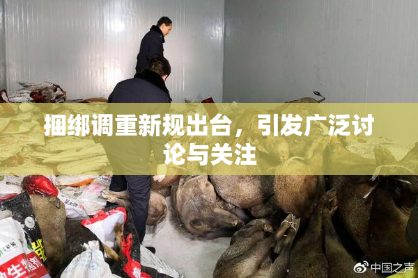 捆绑调重新规出台，引发广泛讨论与关注