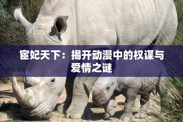 宦妃天下：揭开动漫中的权谋与爱情之谜