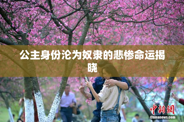 公主身份沦为奴隶的悲惨命运揭晓