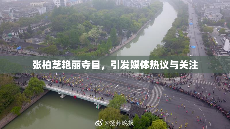 张柏芝艳丽夺目，引发媒体热议与关注