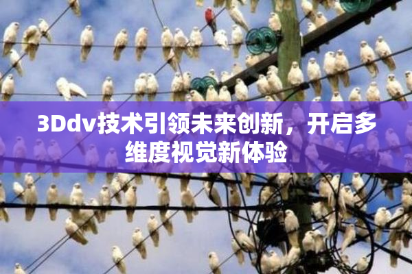 3Ddv技术引领未来创新，开启多维度视觉新体验