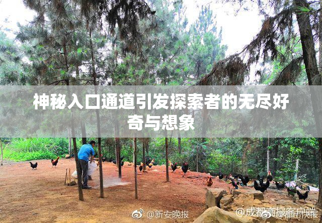 神秘入口通道引发探索者的无尽好奇与想象