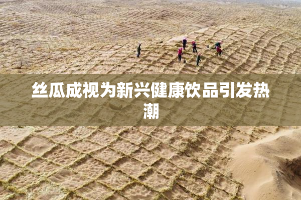 丝瓜成视为新兴健康饮品引发热潮