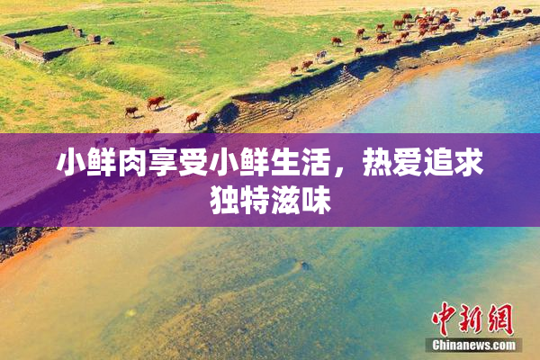 小鲜肉享受小鲜生活，热爱追求独特滋味