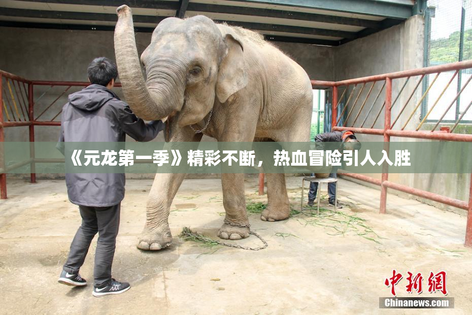 《元龙第一季》精彩不断，热血冒险引人入胜