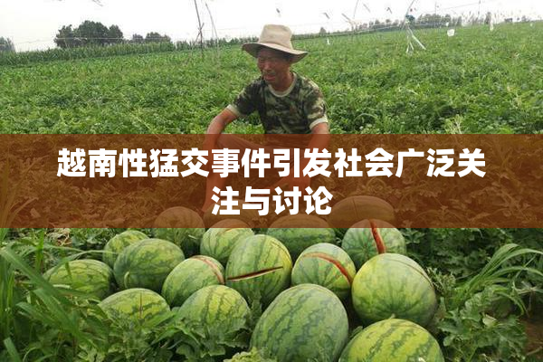 越南性猛交事件引发社会广泛关注与讨论