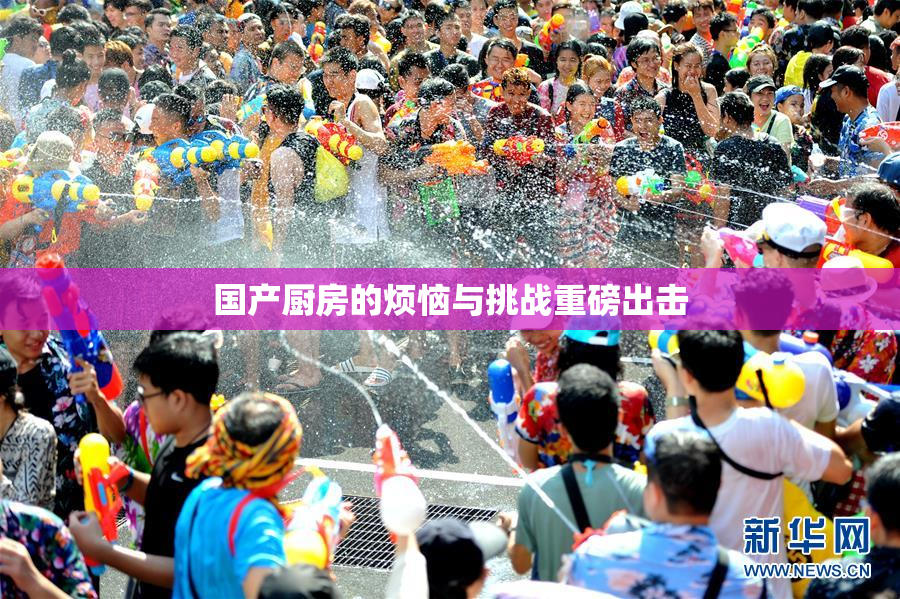 国产厨房的烦恼与挑战重磅出击