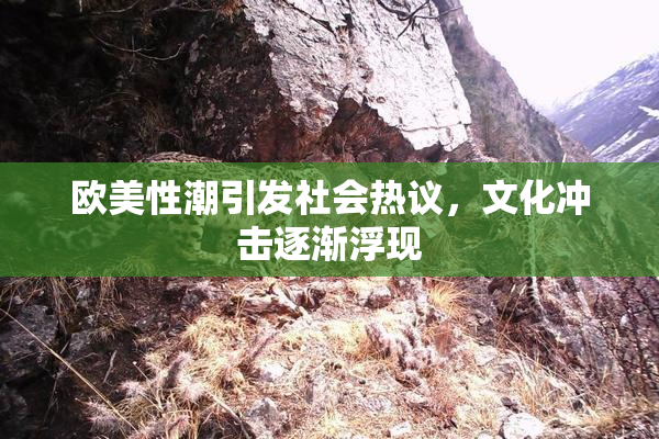 欧美性潮引发社会热议，文化冲击逐渐浮现