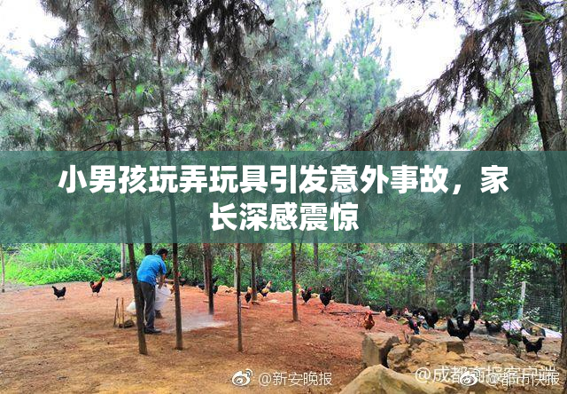 小男孩玩弄玩具引发意外事故，家长深感震惊