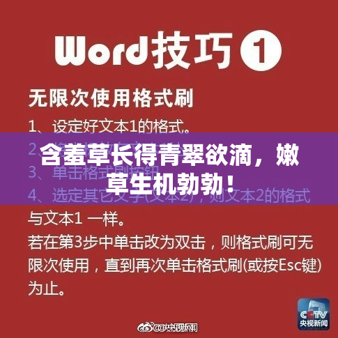 含羞草长得青翠欲滴，嫩草生机勃勃！
