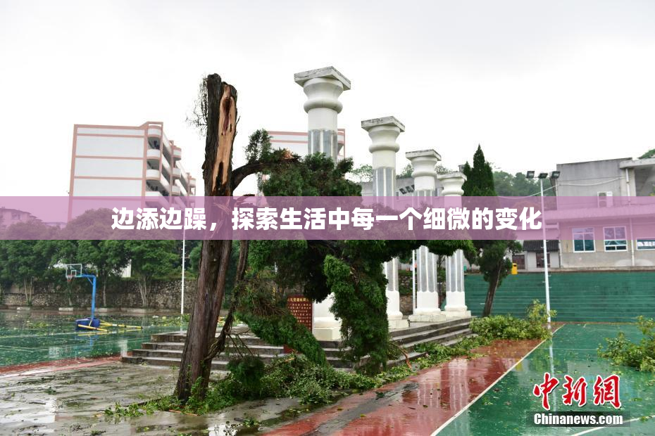 边添边躁，探索生活中每一个细微的变化