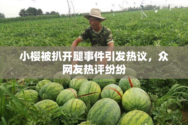 小樱被扒开腿事件引发热议，众网友热评纷纷