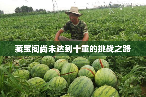 藏宝阁尚未达到十重的挑战之路