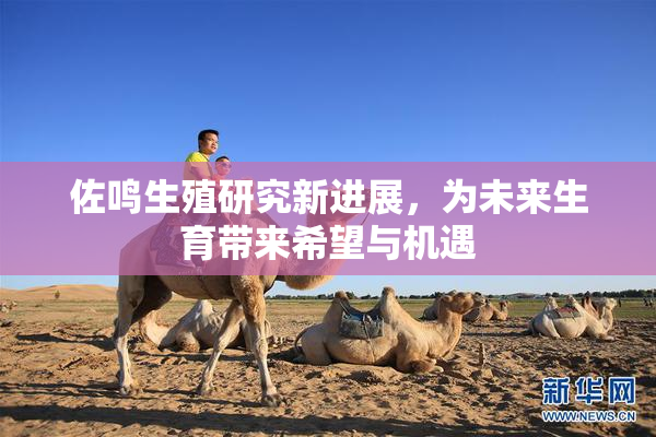 佐鸣生殖研究新进展，为未来生育带来希望与机遇