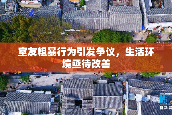 室友粗暴行为引发争议，生活环境亟待改善