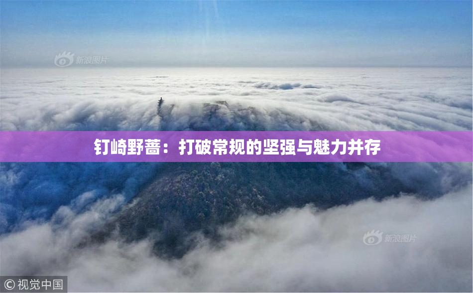 钉崎野蔷：打破常规的坚强与魅力并存