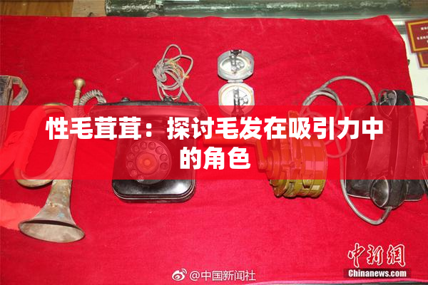 性毛茸茸：探讨毛发在吸引力中的角色