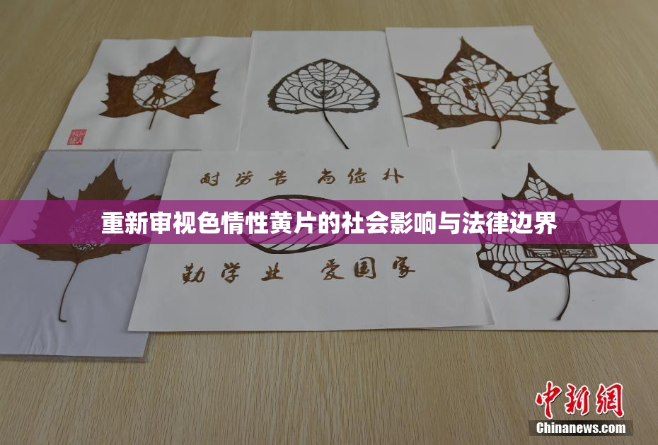 重新审视色情性黄片的社会影响与法律边界