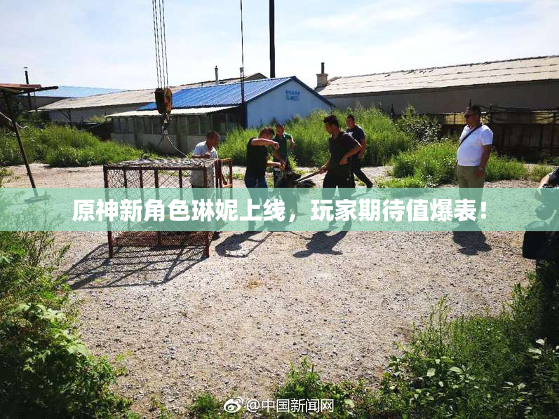原神新角色琳妮上线，玩家期待值爆表！