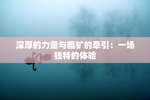 深厚的力量与粗犷的牵引：一场独特的体验