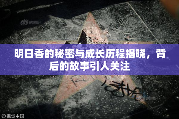 明日香的秘密与成长历程揭晓，背后的故事引人关注