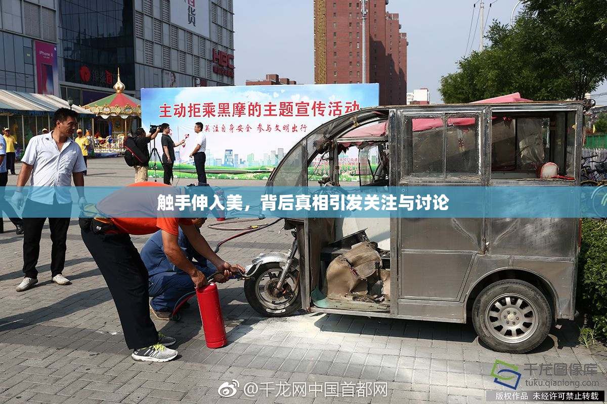 触手伸入美，背后真相引发关注与讨论