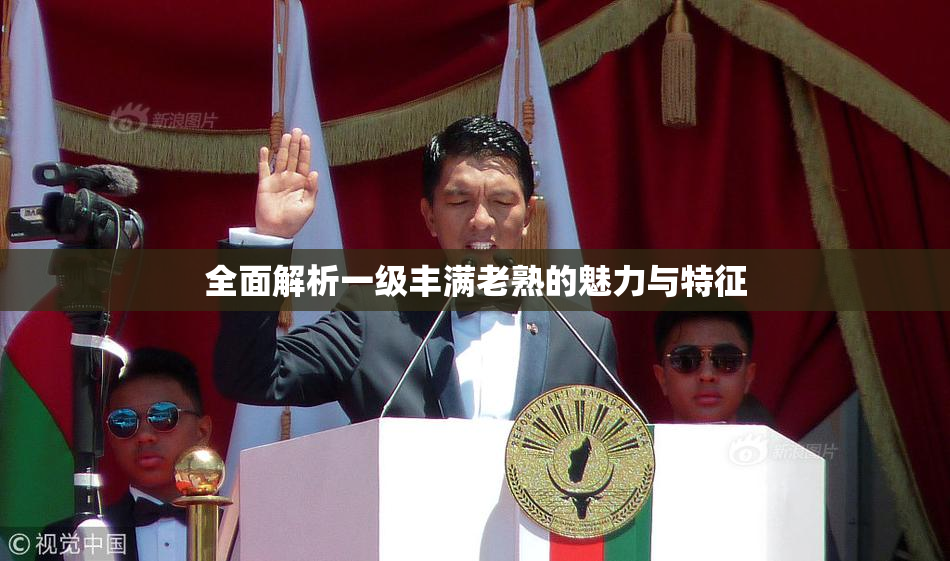 全面解析一级丰满老熟的魅力与特征