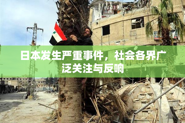 日本发生严重事件，社会各界广泛关注与反响