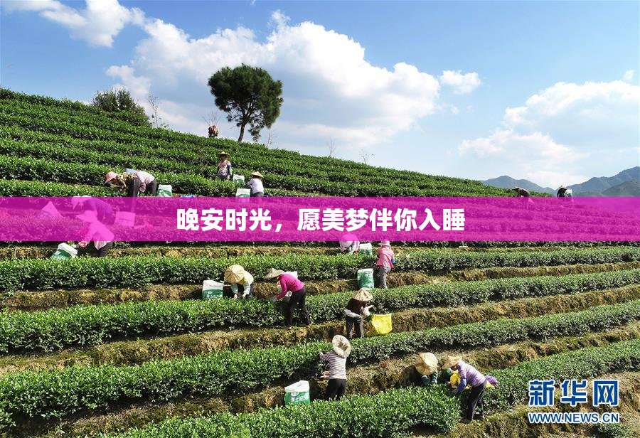 晚安时光，愿美梦伴你入睡